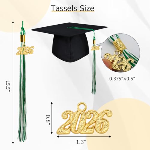 Image of GraduationMall Single&Multiple Color Graduation Tassel with 2026 Year Charm 9 inch