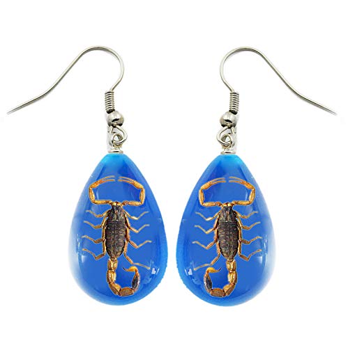 BicBugs Scorpion Earrings Blue Gold