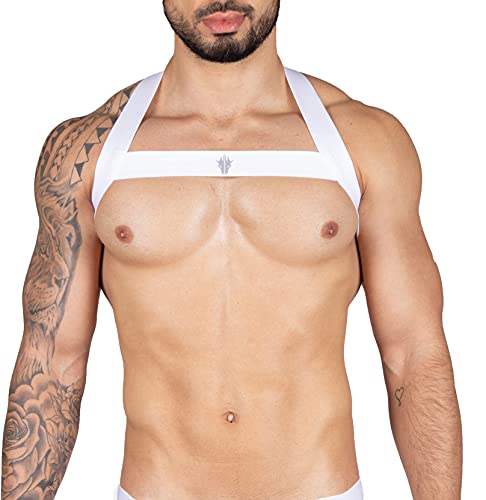 Harnais dragon arnês Ricok Couture idéal pour les balades en ville