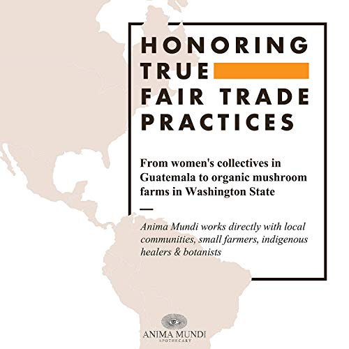 Anima Mundi Chanca Piedra Powder - Anima Mundi Supplements - Stone Breaker Chanca Piedra Powder For Tea - Wildcrafted Chanca Piedra Extract - Liver, Gallbladder & Kidney Cleansing Support (4Oz / 114G) #TOP2