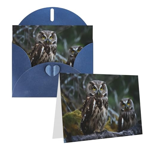 Cartes de vœux vierges pour toutes les occasions avec enveloppes