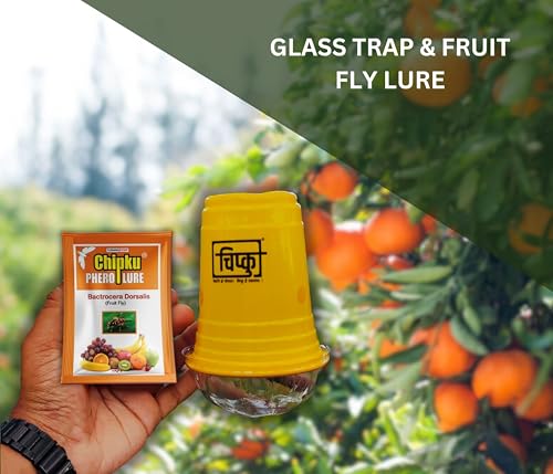 Image of Chipku Bactocera Dorsalis Fruit Fly -Pack of 5 Outdoor Eco Pheromone Trap with Lure Useful in Mango, Papaya, Sapota, Guava, Pomegranate, Sweet Fruit Yellow