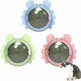 Fastpet 3 Pelotas de Catnip Ball - Juguete para Gatos Interactivo de Pared/Giratorio de 360° Que se Puede Lamer, Triturar...