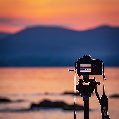 BeenyVD, l'invit&eacute; aux 1,3 millions d'abonn&eacute;s !