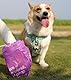Hundekotbeutel Biologisch Abbaubar mit Henkel und Spender Kotbeutel für Hunde mit Lavender Duft 108 Stück 9 Rollen Spender Aus Recycelten Materialien Hergestellt 50% Speisestärke Auslaufsicher
