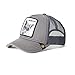 Produktbild Goorin Bros. The Silver Fox Fuchs Grey A-Frame Adjustable Trucker Cap - One-Size