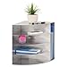 4-Way Corner Organizer, 5 Compartments, 11 x 13 x 11, Steel, Silver, Sold as 1 Each