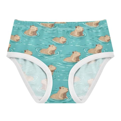 Girls Underwear Soft Cotton Capybara Kids Panties in Sizes 2/3t, 4t, 5t, 6 and 8