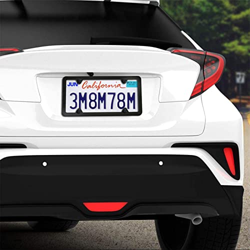 Bgmvfk Black License Plate Screws For Bmw & Tesla - M5 X12Mm (3/16") Small Size Rustproof Stainless Steel Car Tag Screws Fasteners Hardware- Phillips Machine Bolts Nuts Caps For Front/Rear Frame #TOP5