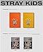 Stray Kids In生/in Life 1st Album Repackage Normal 2 Version Set CD+72p PhotoBook+2p PhotoCard+1p Postcard+Message PhotoCard Set+Tracking Kpop Sealed