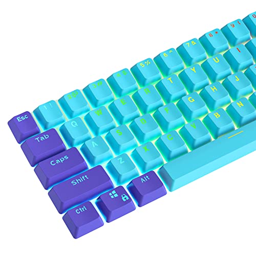 WHYSP 61 PBTキーキャップ RGBバックライトキーキャップ 60%メカニカルゲームキーボード用 OEM プロファイル ブルーキーキャップ キープラ付き Cherry MXスイッチ GH60/RK61/ALT61/Annie pro 2/Iqunix f60/I610T