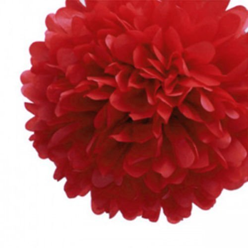 LINGSFIRE 10 Pack 10 Inch Tissue Paper Flower Ball Pom-poms for Party/Wedding/Home/Outdoor Decoration (Red)