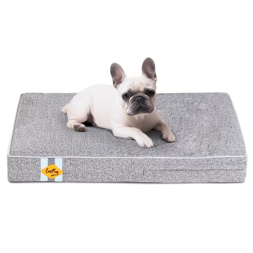 Laifug Orthopedic Memory Foam Pet(40"x 25"x 4",Black)/Dog Bed with Durable Waterproof Liner and Removable Washable Cover 40.0"L x 25.0"W x 4.0"Th Black