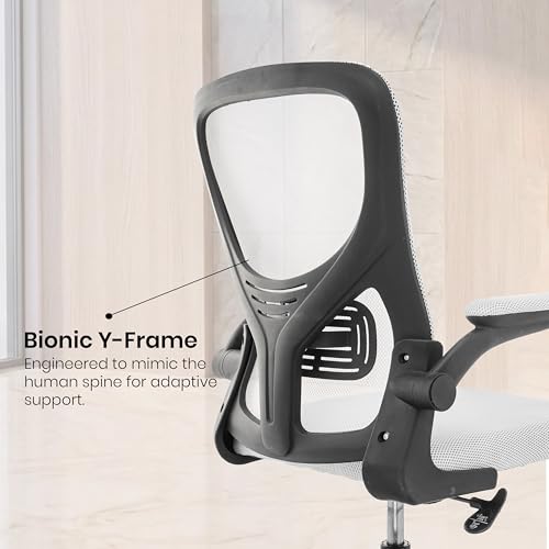 Image of Casa Copenhagen White Black | Mid Back Imported Mesh Fabric Boss Office Chair | Y Design Ergonomic Back Support | 2D Aero Design Adjustable Armrests | Synchro Tilt Lock Mechanism | Adjustable Lumbar