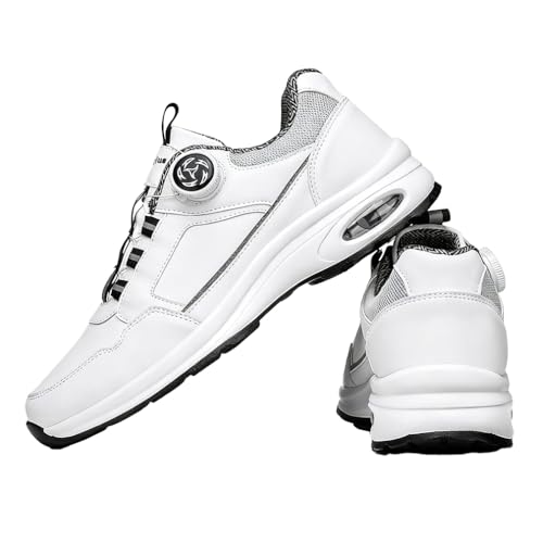 [JKXK] Xj[J[  Y h   GA[NbV _C jOV[Y WMO lC L ̈كX|[c y ^C JWA EH[LO  W h   ʋ ʊw (zCg2, l