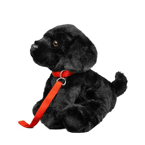Teddys Rothenburg Kuscheltier Labrador + Leine sitzend schwarz 28 cm Plüschhund Plüschtier