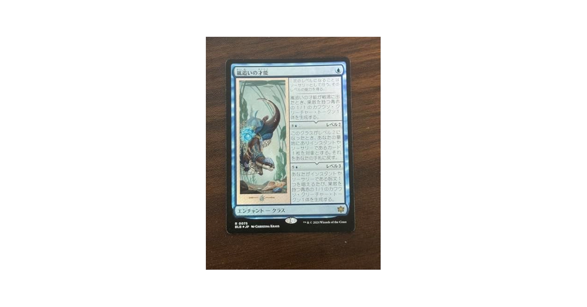 MTG 嵐追いの才能 英語版　4枚セット MTG 嵐追いの才能 英語版 4枚セット Amazon.co.jp: 嵐追いの才能