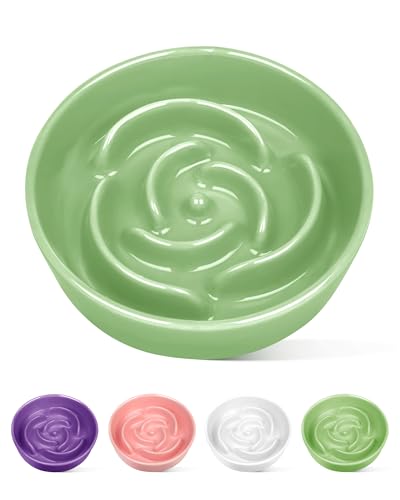 TRUVIC セラミック製スローフィーダー犬用ボウル（小型犬用）、0.6カップ スローフィーダー猫用ボウル（早食い用）、セラミック製犬用フード皿（あごが黒くならない）、小型犬と猫用パズルボウル（緑）