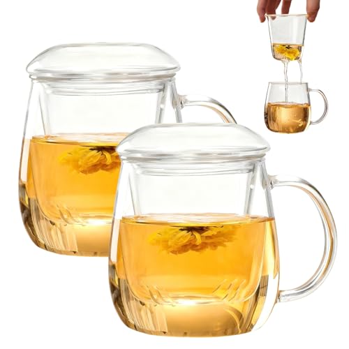 GBKDQQ 2 tazas de té con tapa y colador, vaso de té todo en uno, 500 ml, tazas de té de borosilicato resistentes al calor, fáciles de limpiar para el hogar y la oficina