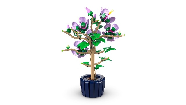 Watch LEGO Botanicals Hibiscus 10372 360 Spin on Amazon Live