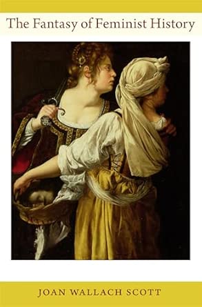The Fantasy of Feminist History book cover
