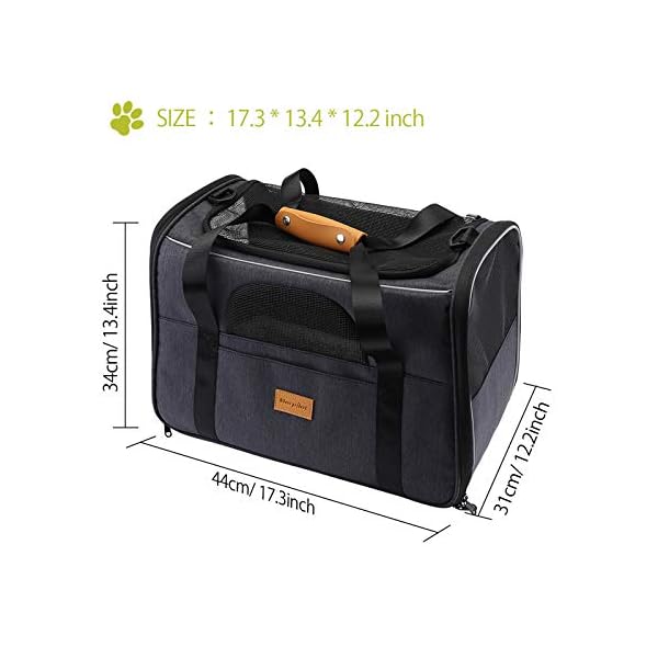 Pet Travel Carrier Bag