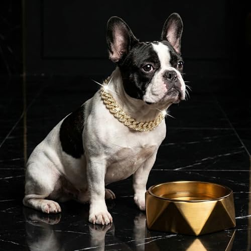 Image of Dog Chain Diamond Collar Walking Metal Chain Collar with Design Secure Buckle, Pet Collar Jewelry Accessories for Small Medium Large Dogs Cats (Gold, 14 Inch)