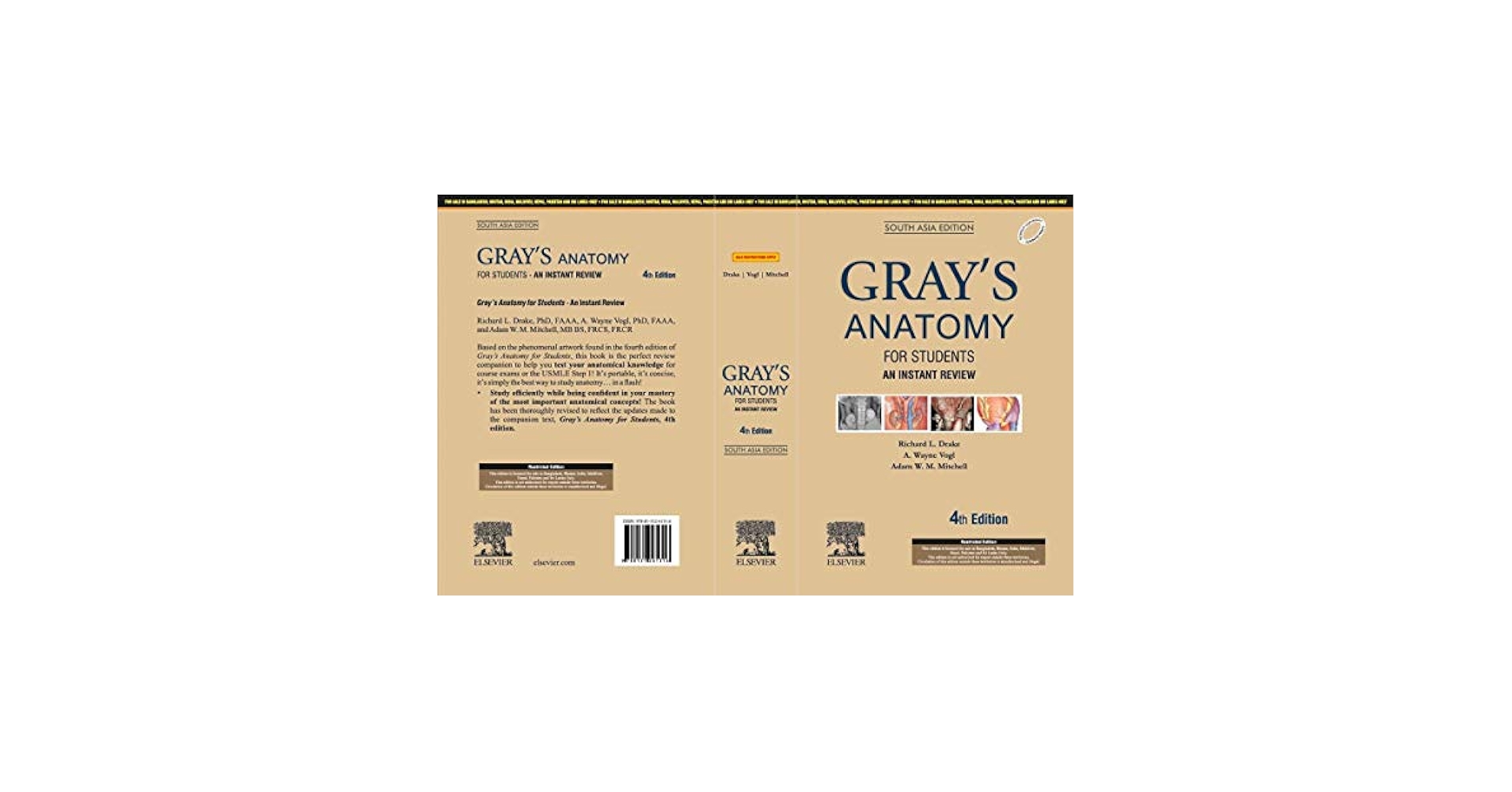 GRAY'S ANATOMY FOR STUDENTS 第四版 Gray's Anatomy for Students Paperback Fourth Edition