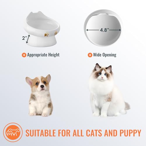 Cat-Food-Bowl-Anti-Vomiting-Elevated-Cat-Bowls-Raised-Ceramic-Cat-Bowl-for-Food-and-Water-Lead-Cadmium-Free-Prevents-Spills-and-Promotes-Healthy-Eating-Microwave-Dishwasher-Safe2-PCS
