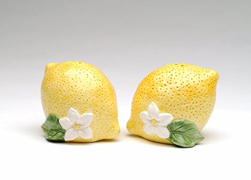 StealStreet SS-CG-40314, 3.5 Inch Two Yellow Lemons with White Flowers Salt and Pepper Shakers - //coolthings.us