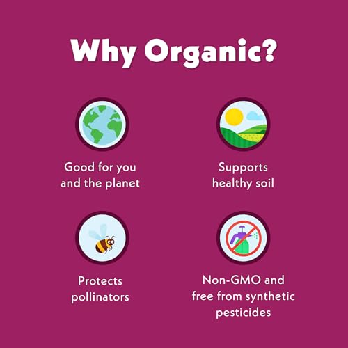Image of Once Upon A Farm Organic Coconut Melts with Probiotics, Mixed Berry, Dairy Free, Non GMO, Kosher, 1 Ounces (Pack of 8) | Once Upon A Farm Organic Coconut Melts with Probiotics, Mixed Berry, Dairy Free, Non GMO, Kosher, 1 Ounces, 8 Pack