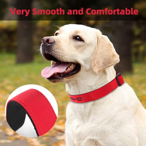 Hundehalsband Personalisiert mit Namen und Telefonnummer Bestickt für XS Kleine Mittlere Große Hunde(rot)