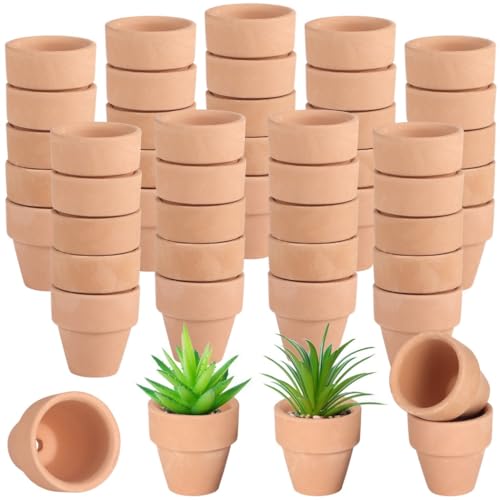 50 mini vasi in terracotta 1,2 per piante grasse, cactus e artigianato, argilla piccola con drenaggio, ideale per fai da te, uso interno ed esterno