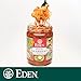 Eden Organic Sauerkraut, 18 oz Glass Jar, Kimchi, Fine Cut