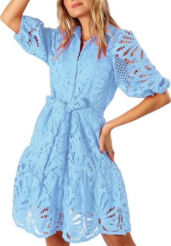Womens Summer Hollow Out Lace Mini Dress Lantern Sleeve Lapel Button Ruffle Casual Beach Party Dresses (Medium,Blue)