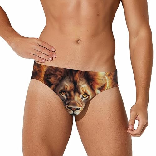 Rasta and Lion Burning Flame Mens Swim Briefs Sexy Bikini Swimwear Bathing Suits Trunks