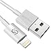Price comparison product image Syncwire Apple iPhone Charger Cable - Upgrade [Apple MFi Certified] - 6.5ft/2m Long Lightning Cable Apple Fast USB Charging Cable Lead for iPhone 11 XS MAX XR X 8 Plus 7 Plus 6s 6 Plus SE 5, iPad iPod