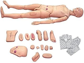 Nursing Manikin PVC Nursing Training Mannequins with Replaceable Wound Modules for Students Education Teaching Medical Training Skills