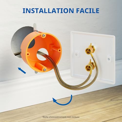 deleyCON 4 Pièces Prise Murale Multimédia Raccordement Haut-Parleurs Enceintes Plaque Murale avec Prises Banane pour 1 Haut-Parleur (Rouge/Noir) - Hifi Surround Sound System Home Cinéma Set de 4 – vue 2