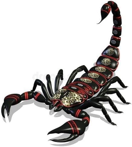 Scorpion Astrology Zodiac Sign Charm Vinyl Sticker Decal - 5 Inches Funny Horror for Vehicles Cars Trucks Bumper Window Bikes Laptops Cups Tumblers Waterbottles