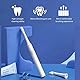 Xiaomi Mijia T100 Sonic Electric Toothbrush Adult Ultrasonic Automatic Toothbrush USB Rechargeable IPX7 Waterproof Electric Zahnbürste (White)