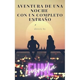 Aventura de una noche con un completo extra&ntilde;o Audiolibro Por Luznidia Fune arte de portada