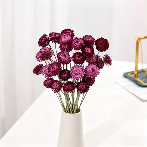 Miniatura 6 de Sikweny 20 Piezas Flores Secas, Flower Margaritas Secas Naturales Flores Secas Decoracion Mini Ramos Naturales Para Manualidades Diy Scrapbooking Bodas Y Hogar Púrpura
