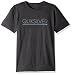 Quiksilver Men's Thin Mark T-Shirt
