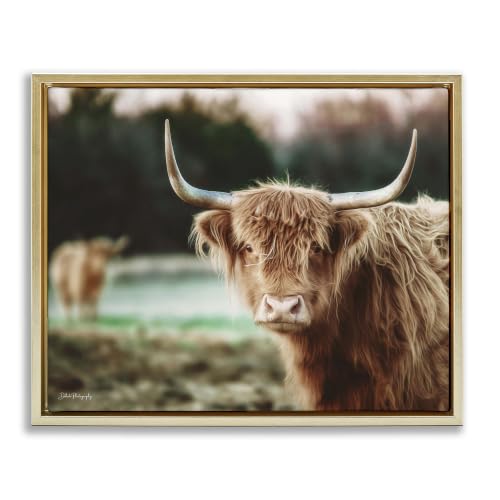 Highland Cattle Gazing Farmhouse, 24 x 30 Inch Canvas in Floater Frame