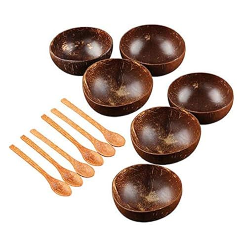 Jcevium Juego de cuencos de coco hecho a mano con cáscara de coco vajilla cuchara de madera postre ensalada de frutas tazón de mezcla de arroz Ramen Bowl 12 piezas