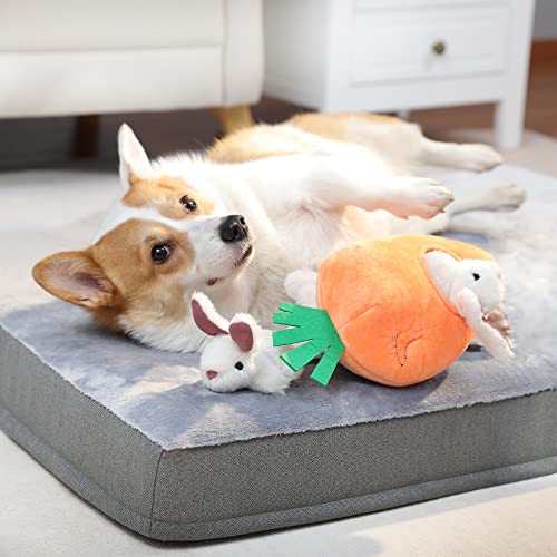 Amazon Basics Hide And Seek Squeaky Dog Plush Toy, Rabbit And Carrot, 5 Pack #TOP5