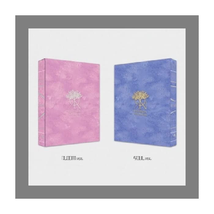 History Of Kingdom Part VI Mujin set officiel scellé sans carte manquante