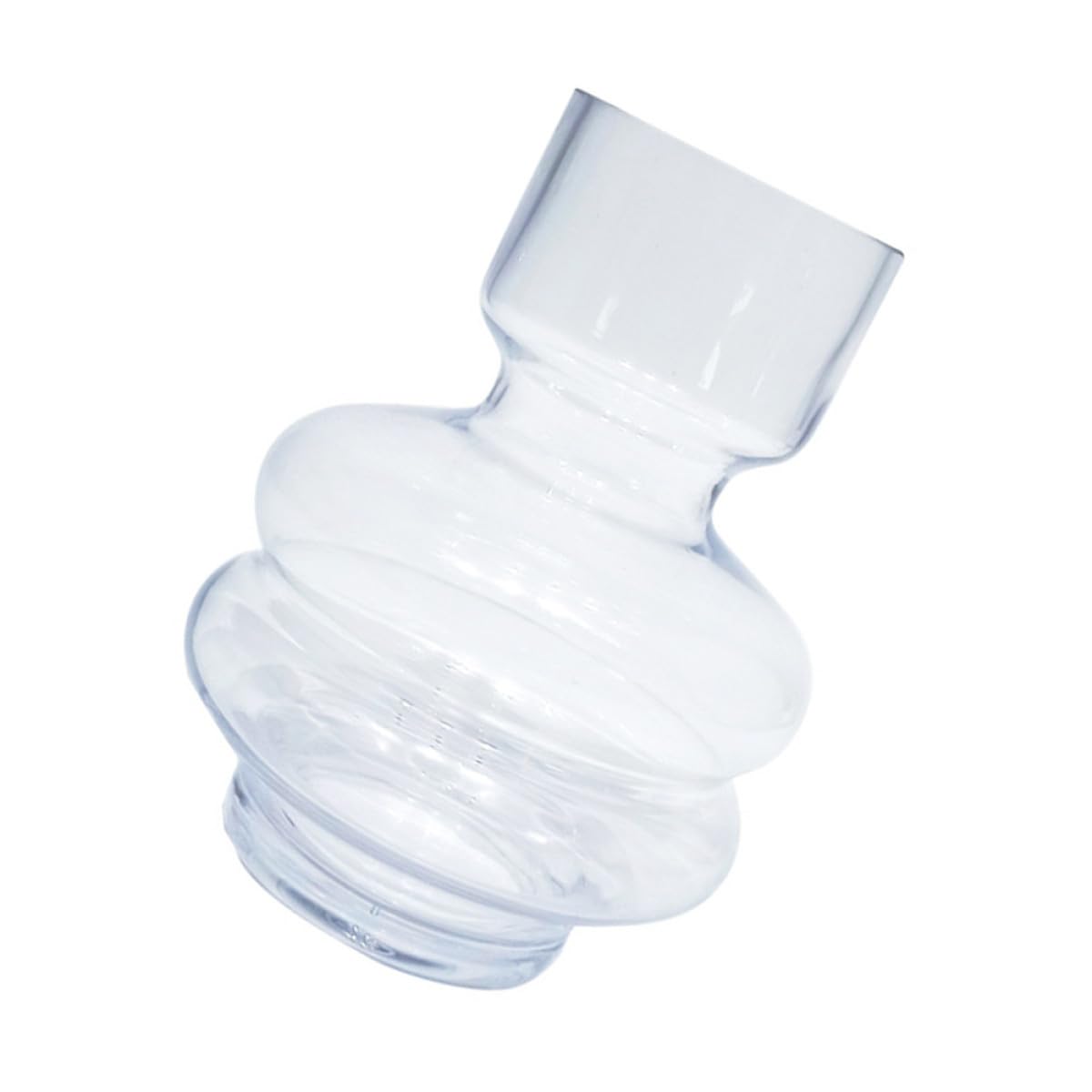 Bouteille hydroponique en verre pour bouture et vase créatif stable
