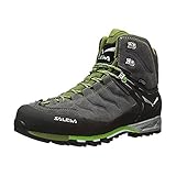 Salewa Men's MS MTN Trainer Mid GTX Hiking Shoe